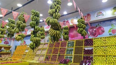 إستقرار أسعار الخضروات والفاكهة بالأسواق في الفيوم