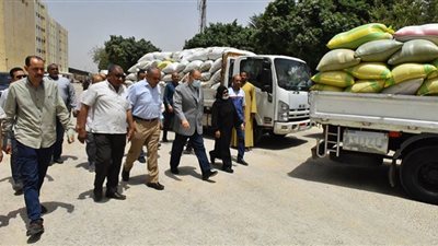 ارتفاع الكميات الموردة من محصول القمح للشون والصوامع بأسيوط