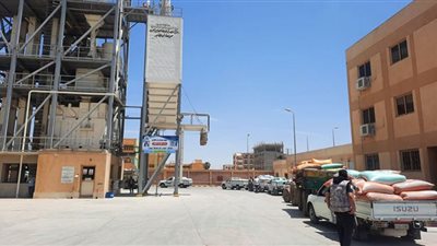 توريد ١٢٨٠٣٧ طن قمح لشون وصوامع البحيرة