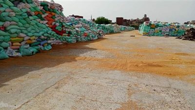 ارتفاع معدلات توريد القمح إلى 168210 أطنان بصوامع وشون الدقهلية