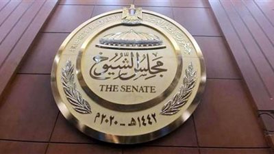وزير الاتصالات لنواب الشيوخ : نعمل على التنمية للشركات المحلية في التصميم الإلكتروني