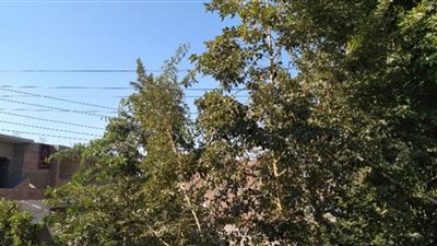 طقس معتدل وشمس مشرقة على مدن ومراكز أسوان اليوم الأربعاء