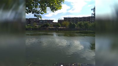 طقس معتدل وشمس ساطعة على مدن ومراكز الدقهلية