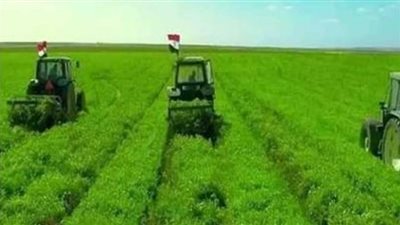 فيديو.. الزراعة: الصعيد على رأس أولويات الدولة في خطتها للتنمية