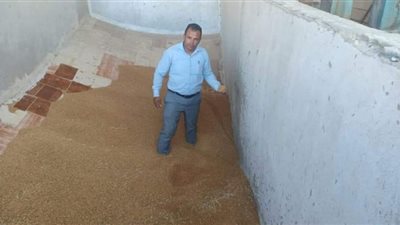 ضبط 10 طن قمح محلي بأحد المطاحن الخاصة بالإسماعيلية