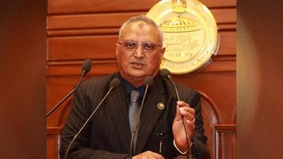 برلماني: حزمة الإجراءات التي اتخذتها الحكومة تهدف إلى توطين الصناعة المحلية