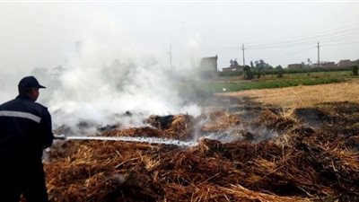 مواصلة التحقيقات في واقعة اشتعال النيران بمحصول القمح بكفر شكر