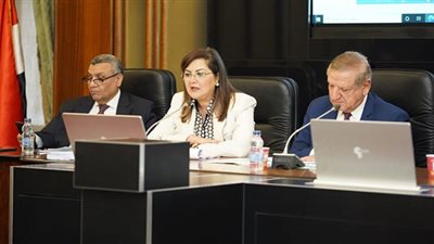 وزيرة التخطيط تؤكد استمرار الأداء الجيد في غالبية القطاعات خلال الربع الثاني من العام المالي الحالي