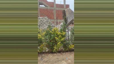 الأجهزة التنفيذية بالشرقية تُنفذ إزالات في المهد للتعديات على الأراضي الزراعية