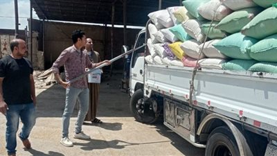 توريد 65 ألف طن قمح بصوامع الغربية