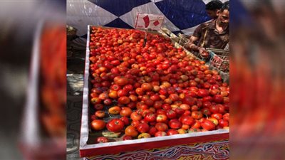 نهاية مايو.. هبوط أسعار الطماطم في أسواق الإسماعيلية