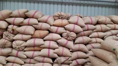 توريد 78 ألف طن قمح محلي ومستورد لشئون وصوامع سوهاج