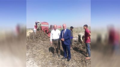 نائب رئيس جامعة السادات يتفقد مزرعة الجامعة ويشهد أعمال الحصاد