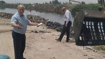 رئاسة فاقوس تنفذ حملة لمكافحة نواقل الأمراض