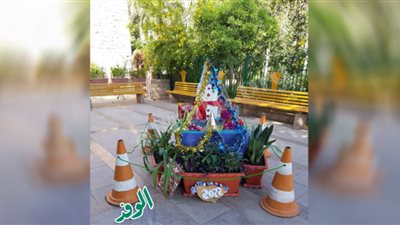 صور.. مستشفيات أسوان والحدائق تتزين بأشجار الكريسماس والبلالين احتفالا برأس السنة