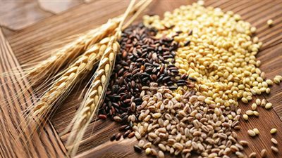 البنك الدولي يعتزم توفير 30 مليار دولار لمواجهة أزمة الغذاء