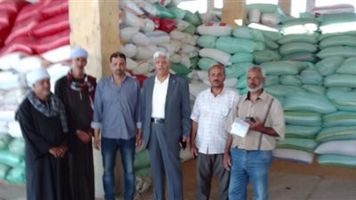 توريد 28550 طن قمح بشون وصوامع دمياط