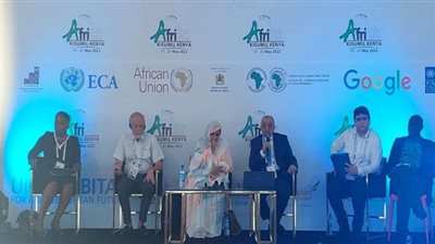 وزير التنمية المحلية يطالب بضرورة وجود رؤية أفريقية للمحليات حول التصدي لظاهرة تغير المناخ