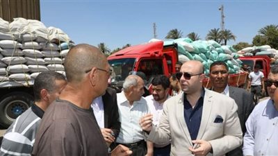 محافظ بني سويف يتابع منظومة توريد واستلام القمح المحلي
