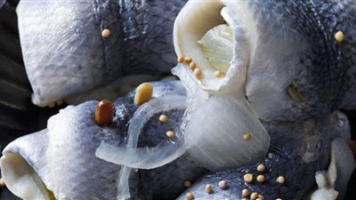 أطعمة دهنية تساعد على تحسين مستويات الكوليسترول في الدم