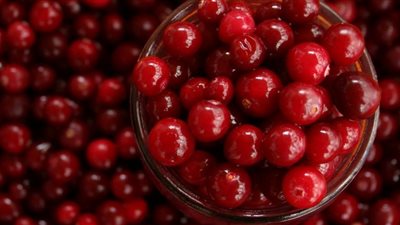 دراسة: التوت البري يُحسن الذاكرة ويمنع الخرف