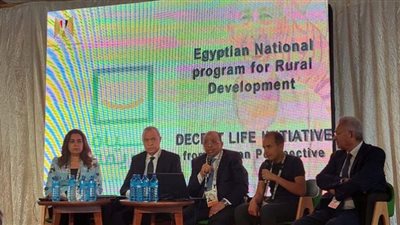 شعراوي يشارك في جلسة حول مبادرة 