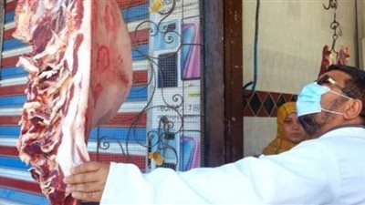 ضبط 269 كجم لحوم ودجاج مخالفة خلال حملات تفتيشية بمراكز الشرقية