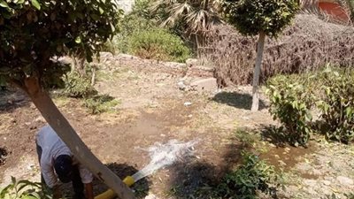 حملات نظافة والرصف وتفقد مشروعات 