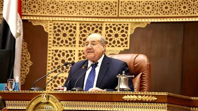 وكيلة مجلس الشيوخ: قانون العمل يمثل دعماً حقيقيا للقطاع الخاص