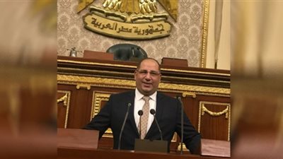 برلماني: مشروع مستقبل مصر يعكس حرص القيادة السياسية على زيادة الرقعة الزراعية