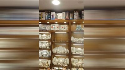 تنفيذ ١٧ ألف مشروع لشباب الشرقية بتكلفة ٢مليار جنيه ضمن مبادرة 