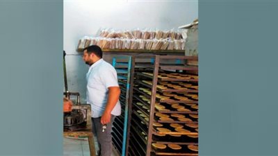 تحرير 180 محضراً لمخالفات بالمخابز والأسواق والتحفظ على مواد بترولية ببني سويف