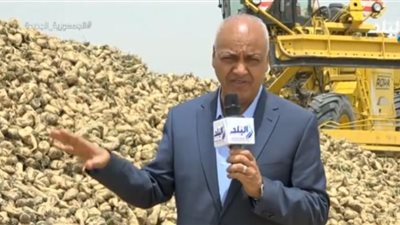 بكري: حصاد البنجر من مستقبل مصر يحقق 20% من الاكتفاء الذاتي للسكر