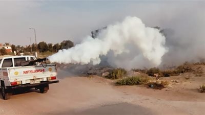 الإسماعيلية تستكمل خطتها لمكافحة البعوض والذباب