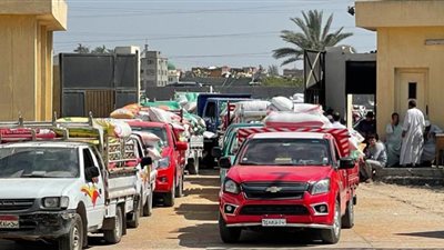 توريد 220 ألف طن قمح لشون وصوامع البحيرة