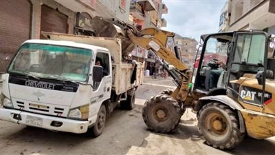 استمرار حملات النظافة والتجميل والإنارة العامة بقري كفر الشيخ