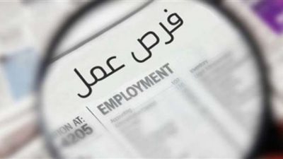 رواتب مجزية| أبرز الوظائف التي أعلنتها وزارة الشباب والرياضة