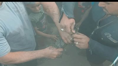 بيطرى المنوفية تتحفظ على التمساح وتسليمه للبيئة