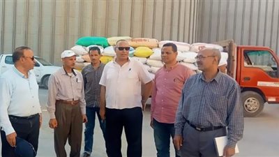 زراعة الفيوم تتابع أعمال حصاد وتوريد محصول القمح