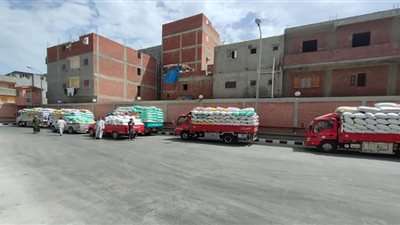 توريد ٢٣٥ ألف طن قمح لشون وصوامع البحيرة