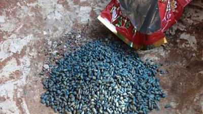 مستجدات قضية بسنت خالد.. توفى جدها حزنًا عليها وهددها شابان بهذه الطريقة