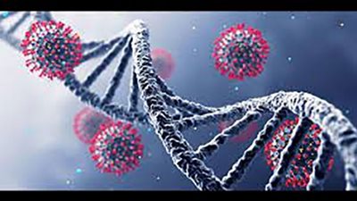 متحور جديد لكورونا باسم IHU فى فرنسا