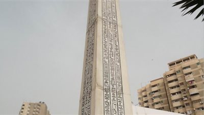 ارتفاع درجات الحرارة في الشرقية إلى 31 مئوية