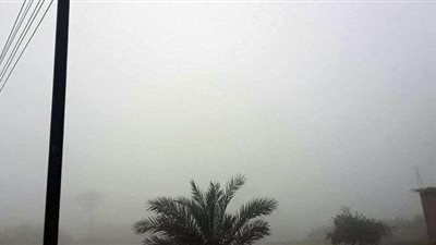 8 صور ترصد تأثير الشبورة المائية على البلاد