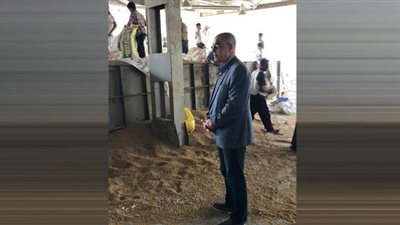 توريد ٢٣٤ ألف و ١٩٥ طن قمح لصوامع وشون الدقهلية خلال ٢٣ يوماً منذ بدء التوريد.