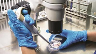 وفقًا للقانون شروط والتزامات تحمي المبحوثين خلال التجارب الطبية.. تعرف عليها