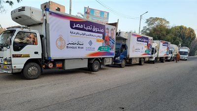 تحيا مصر ينظم قافلة حماية اجتماعية لرعاية 1000 أسرة في قنا