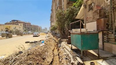 استمرار أعمال رفع كفاءة ورصف شوارع مدينة المنصورة