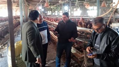 مدرسة حقلية عن الإنتاج الحيواني بههيا في الشرقية