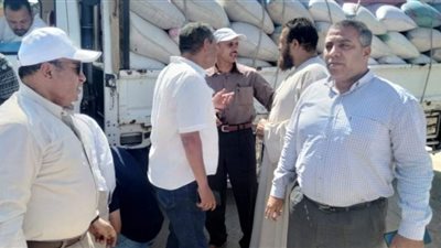 رئيس مدينة إطسا بالفيوم يتابع أعمال حصاد وتوريد القمح
